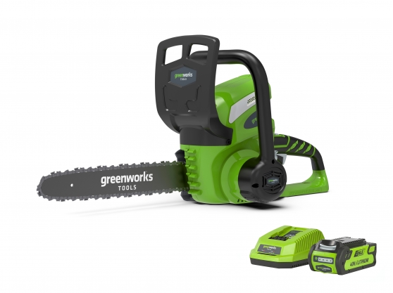 Greenworks 30cm (12) 40V Chainsaw with 2Ah Battery & Charger G40CS30K2