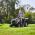 Lawn-King AT4 84 HA Lawn Tractor by Alpina GGP 33in Cut - view 2