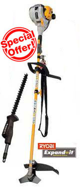 Ryobi RBC-30SES Brushcutter + AHF03 Hedge Cutter 