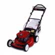 Toro Lawnmowers Recycler Mowers